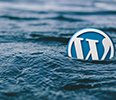 why-new-bloggers-should-use-wordpress